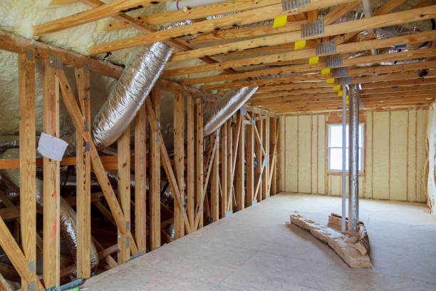 Best Geographic-Specific Insulation Services in Waynesboro, MS