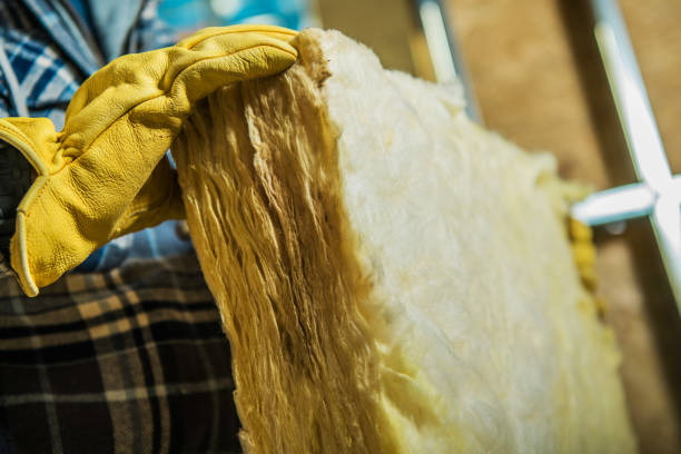 Best DIY Insulation Kits and Guidance in Waynesboro, MS
