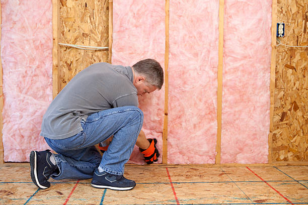 Best Insulation Maintenance and Repair in Waynesboro, MS