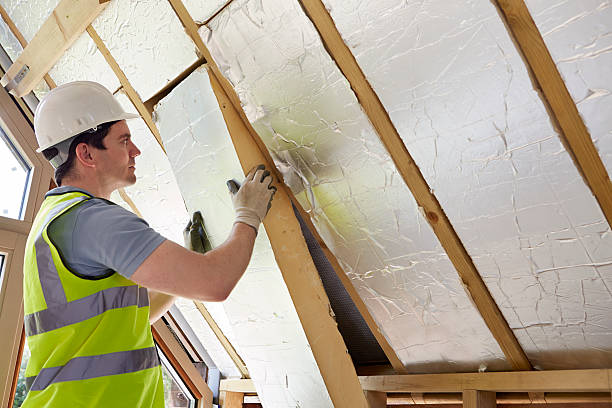 Best Spray Foam Insulation in Waynesboro, MS